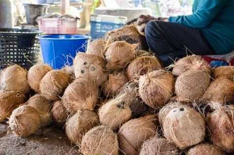 Farmer cutting coconut shell Stock Photos