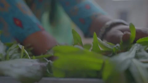 Farmer cutting grass for cow with using old machine in village Stock Footage 309084817