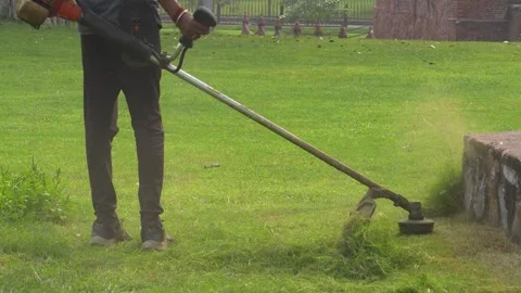 Farmer Cutting Grass Manually in Green Agricultural Field Stock Footage 323099259