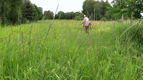 Farmer cutting grass with manually operated petrol trimmer Stock Footage 48579094