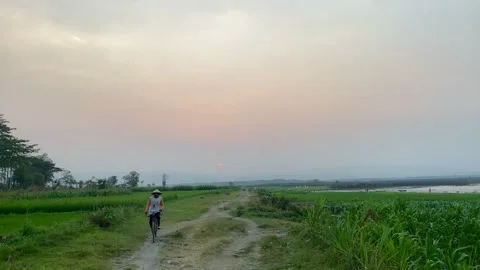 Farmer Cycling Home from the Fields Vidéo 343642283