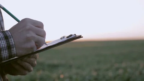 Farmer at dawn writes something in a notebook. Slow motion Stockbeeldmateriaal 76997732