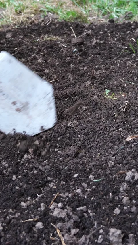 Farmer digging and turning over the soil with a small shovel in a garden bed Stock Footage 341282902
