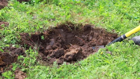 Farmer digging beds for crops. Farmer is dripping ground with shovel in a garden Stock Footage 130821815