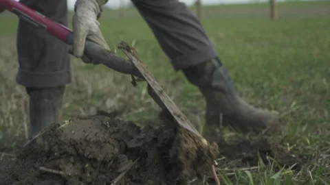 Farmer digging earth with a shovel preparing soil for planting Stock Footage 340545973