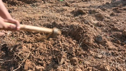 Farmer digging the field. Stock Footage 255709555