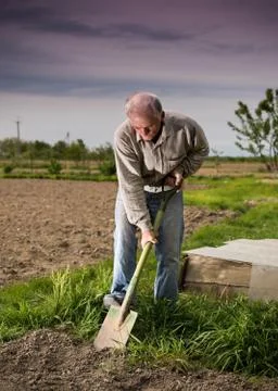 Farmer digging in the garden 库存照片