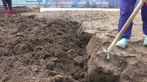 Farmer digging up the ground with a shovel Stock Footage 196991107