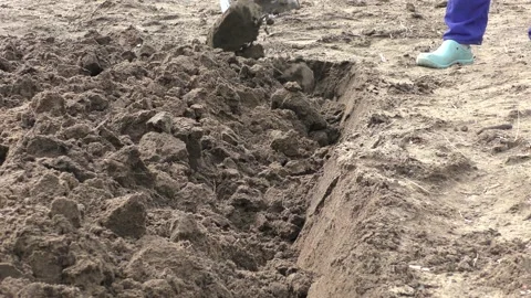 Farmer digging up the ground with a shovel Stock Footage 196991571