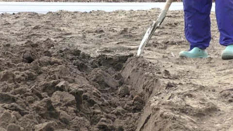 Farmer digging up the ground with a shovel Stock Footage 196991575