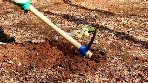 Farmer digging with a hoe Stock Footage 106368245