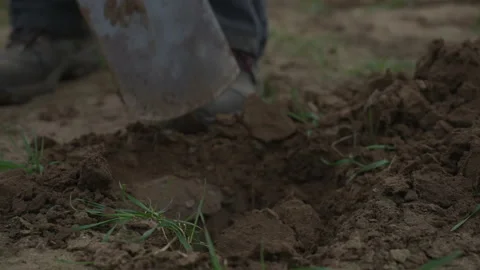 Farmer digging a hole with shovel in soil Stock Footage 340545740