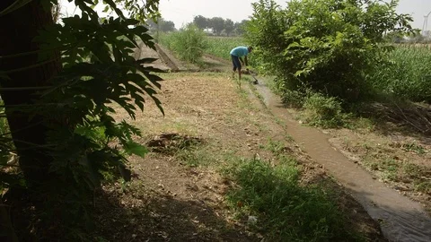 A farmer digging irrigation channels on his cotton farm rural India. Stock Footage 95546626
