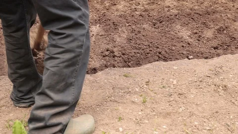 Farmer digging the land Stock Footage 129149966