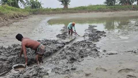 Farmer Digging Mud Drainage Channel For Dewatering Pond Before Fish Harvest Stock Footage 337456747