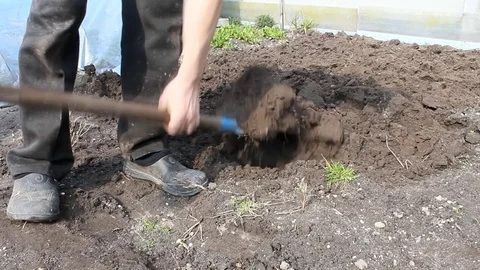 Farmer digging shovel soil in the spring Stock Footage 74146263