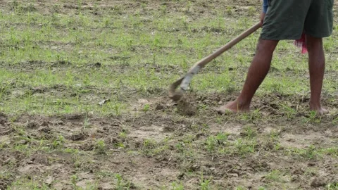 Farmer digging soil Stock Footage 346145435