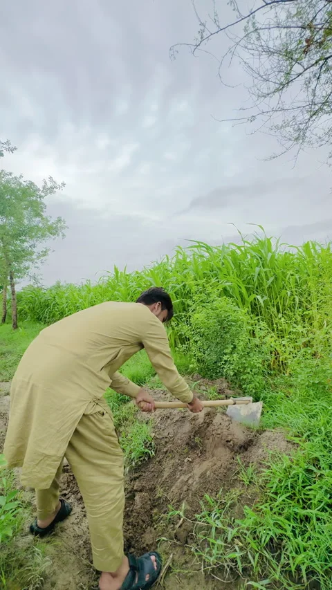 Farmer Digging Soil with Hoe in Field Video stock 336467577