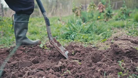 Farmer digging soil with shovel. Stock Footage 307833879