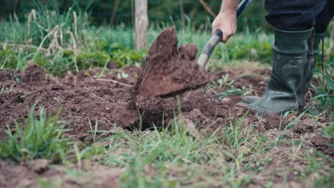 Farmer digging soil with shovel. Stock Footage 307833918