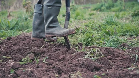 Farmer digging soil with shovel. Stock Footage 307833970