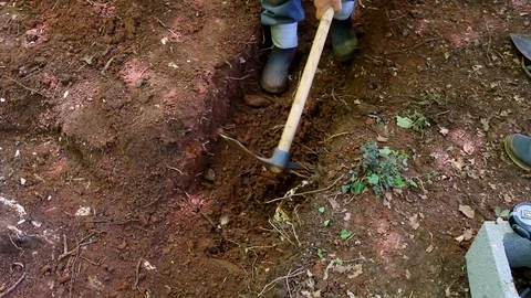 Farmer digging a trench with a pick. Stock Footage 109366958