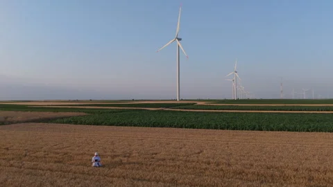 Farmer with digital tablet on agricultural field at sunset. Stock Footage 312079072