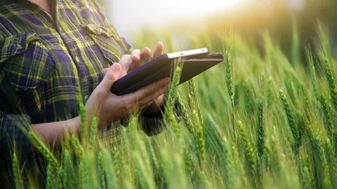 Farmer with digital tablet. Stock Footage 126422594