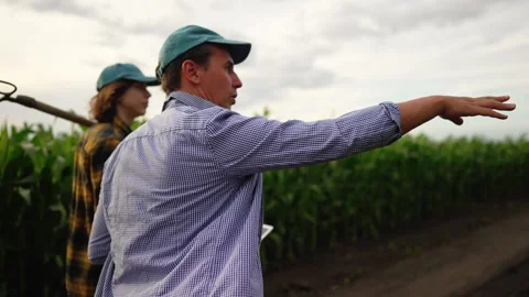 Farmer with digital tablet inspects corn field with worker holding pitchfork Stock Footage 345830441