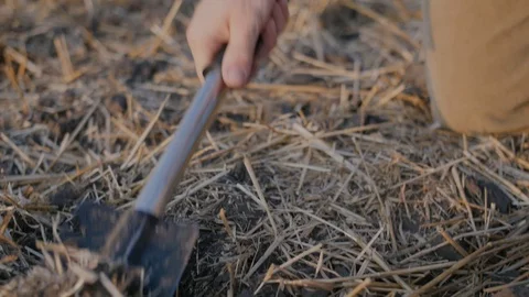 Farmer digs the ground 4K Stock Footage 113178121