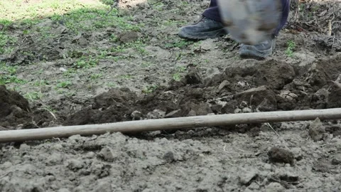 A farmer digs his spring garden with an old shovel Vídeos de archivo 237011758