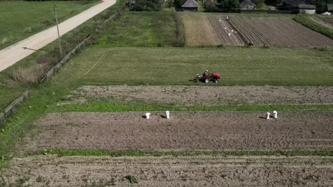 Farmer digs potatoes with a small tractor Vídeos de archivo 165237328
