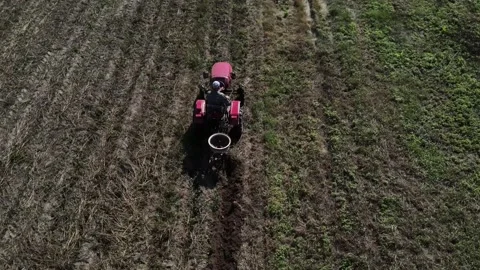 Farmer digs potatoes with a small tractor Vídeos de archivo 165816324