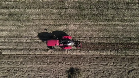 Farmer digs potatoes with a small tractor Vídeo Stock 167789258