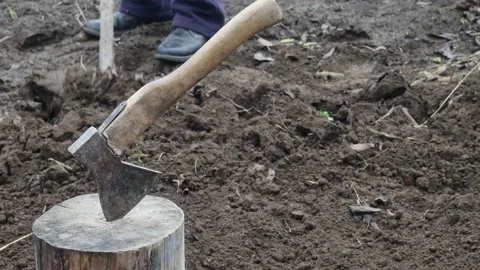 A farmer digs soft black earth with a shovel in a field Stock Footage 224079507