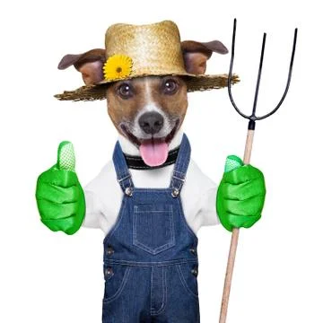 Farmer dog Stock Photos
