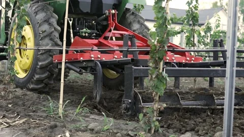 Farmer drives the plow while plowing the vineyard with the crawler tractor. Stock-Footage 238535360
