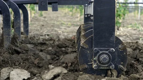 Farmer drives the plow while plowing the vineyard with the crawler tractor. Stock Footage 238540094