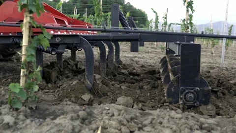 Farmer drives the plow while plowing the vineyard with the crawler tractor. Stock Footage 238540304
