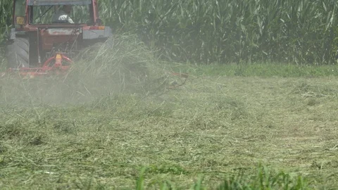 Farmer drives tedder with dust Stock-Footage 113570517