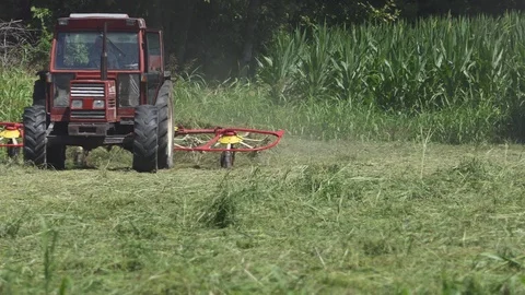 Farmer drives tedder Stock-Footage 113570417
