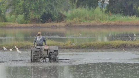 Farmer driving agricultural tractor. 库存影片 102712331