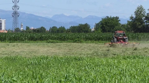 Farmer driving tedder Video stock 113570508