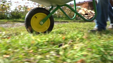 The farmer is driving a wheelbarrow Stock Footage 140455766