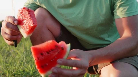 Farmer eats watermelon on the field of organic farm. Stock Footage 94371343