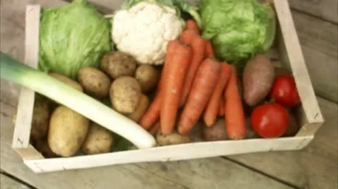 Farmer with ecological vegetables Stock Footage 11291206