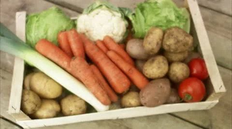 Farmer with ecological vegetables Stock Footage 11291213