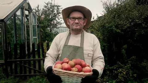 Farmer, an elderly man of 60 years old, carries a basket of apples. 库存影片 139554157