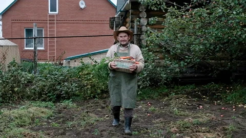 The farmer is an elderly man . Carries a basket with a harvest of vegetables. 库存影片 139528080