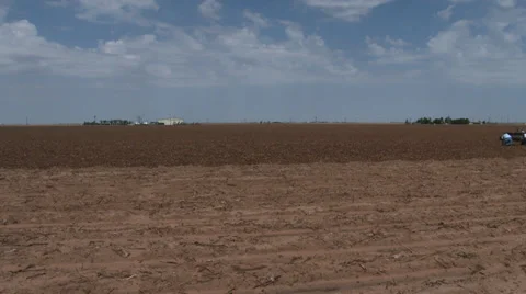 Farmer examines crop 1 Stock Footage 38946378